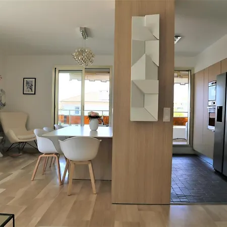 Rooftop Croisette/alexandre Iii Apartment